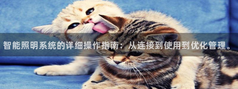 云顶网站网址